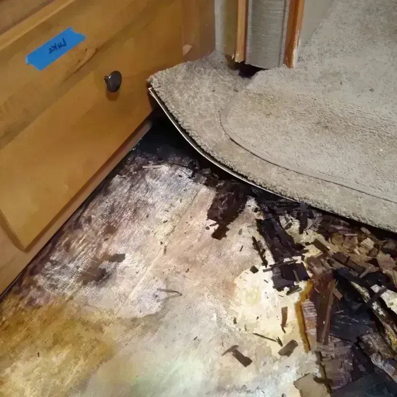 Wood Floor Water Damage in Northfield, NJ